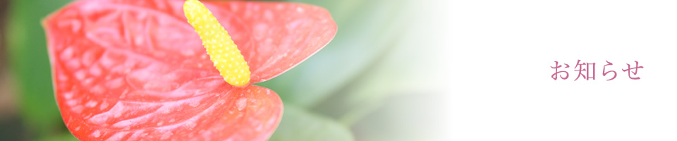 お知らせ