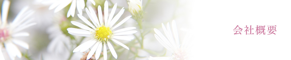 会社概要