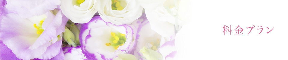 料金プラン