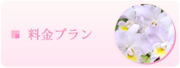 料金プラン